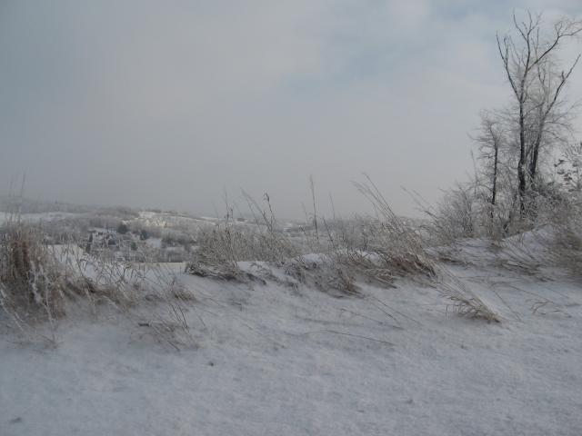 IMG_0595.JPG